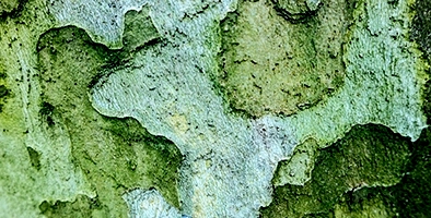 aconnic: Software Defined Defence – Critical Infrastructure aconnic: Software Defined Defence - Critical Infrastructure